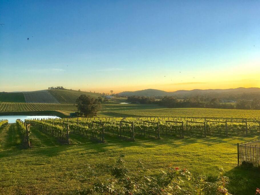 Mount Hope Estate Vineyard Apartment Dixons Creek Ngoại thất bức ảnh